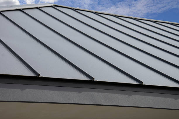Best Gutter Installation and Repair  in Wabasha, MN